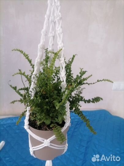 Кашпо для цветов подвесное