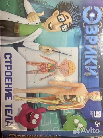 Игра “Строение тела»