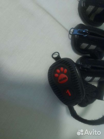 Ботинки для собаки