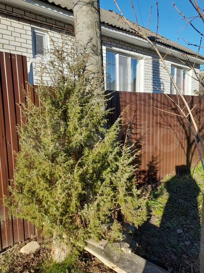 Дом 100 м² на участке 10 сот.