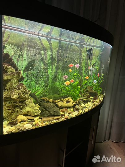 Аквариум с тумбой Juwel