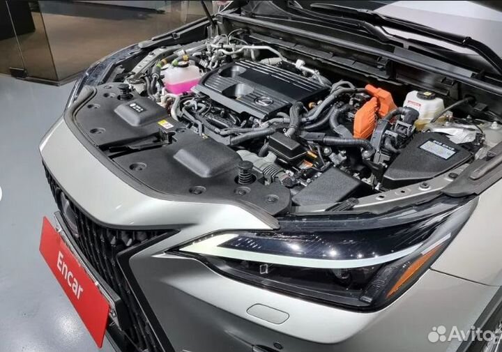 Lexus NX 2.5 CVT, 2022, 37 800 км