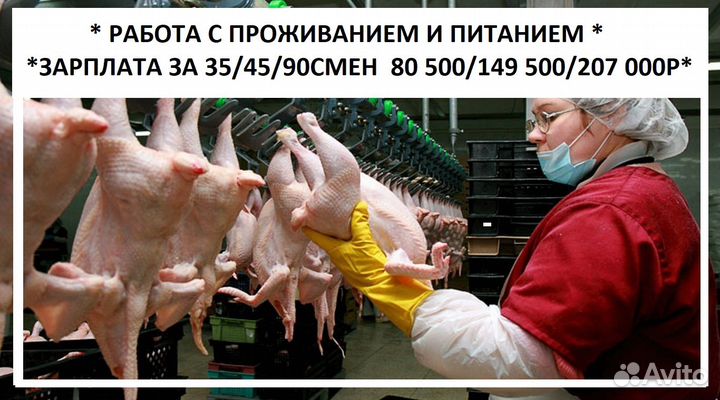 Фасовщик (сортировщик) Вахта г.Владимир