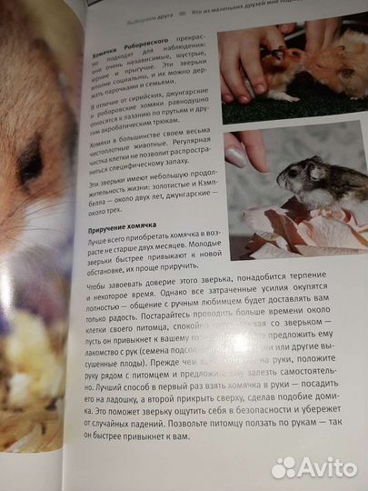 Кролики хомяки иллюстрированная энциклопедия + 1