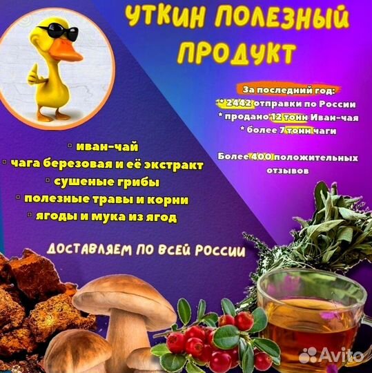 Иван чай опт