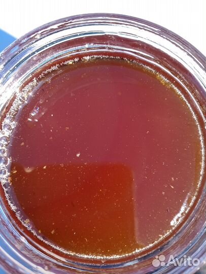 Мед разнотравье