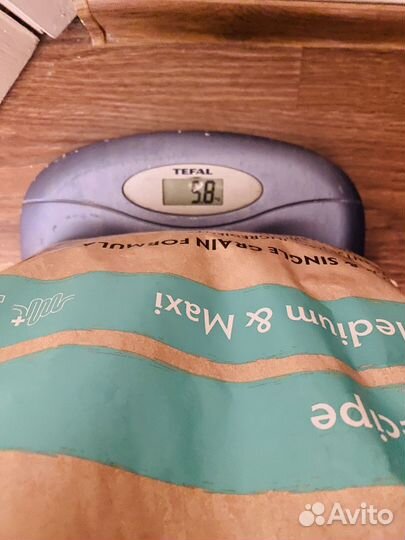 Корм для собак grandorf