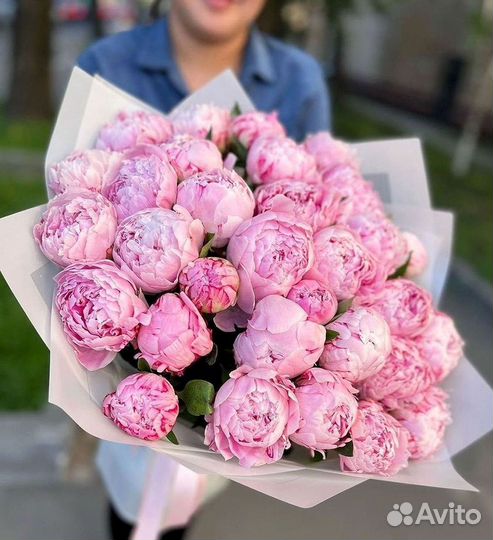 Пионы Цветы Доставка
