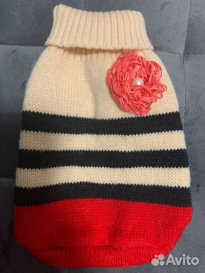 Одежда для маленьких собак бу