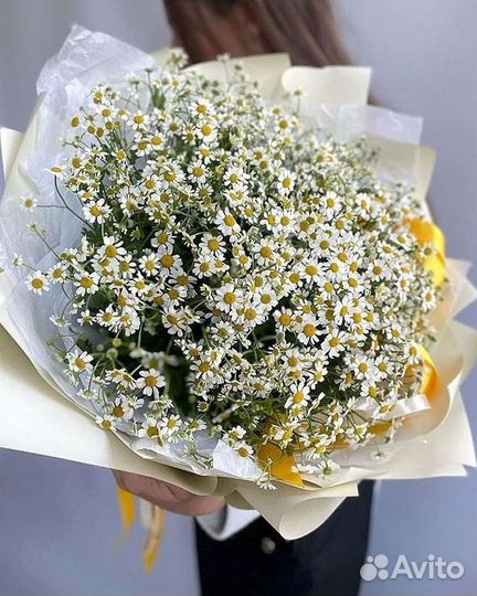 Цветы ромашки. Букеты ромашек. Цветы доставка