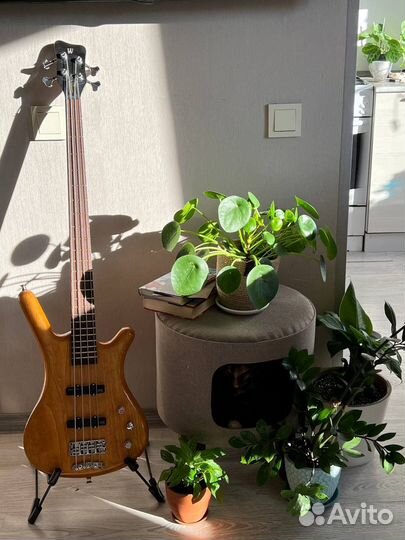 Warwick Corvette std