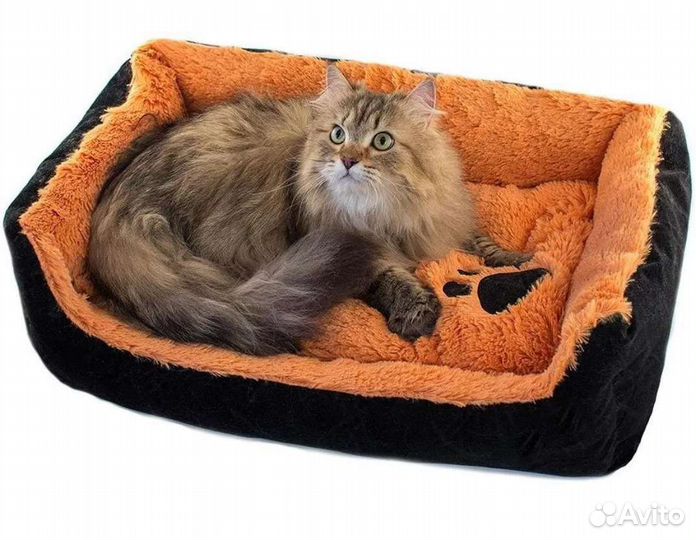 Передержка для бездомных кошек