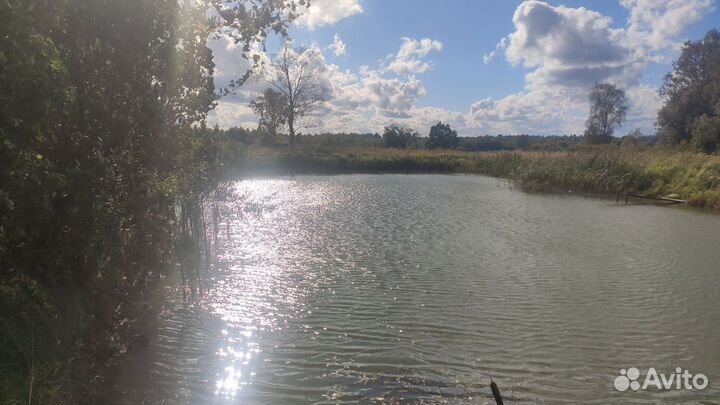 Мёд деревенский 100 экологически чисты