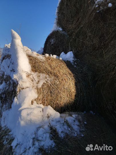 Сено в рулонах