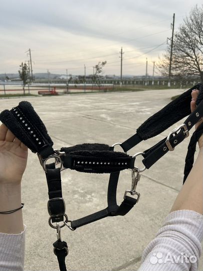 Недоуздок для лошади