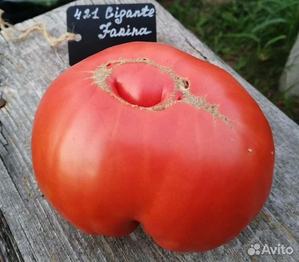 Семена сортовых томатов. не гмо не гибриды