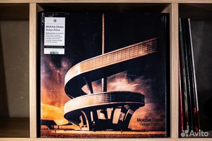 Molchat Doma - Belaya Polosa (colored LP)