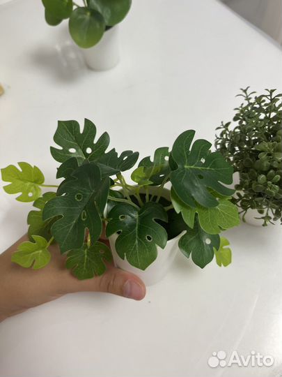 Искустренные цветки из IKEA