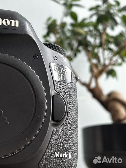 Canon eos 5D mark iii body