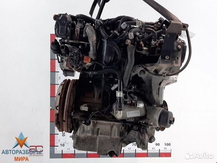 Форсунка Opel Insignia (A) 2010 55566050