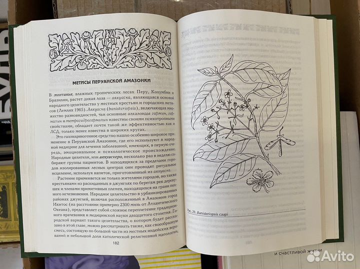 М. Добкин де Риос. Растительные галлюциногены