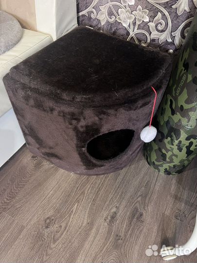 Кошачий домик