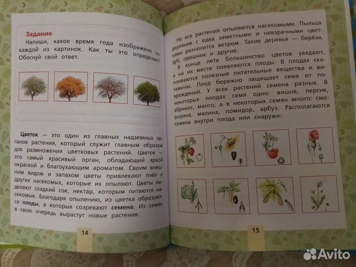Развивающие пособия