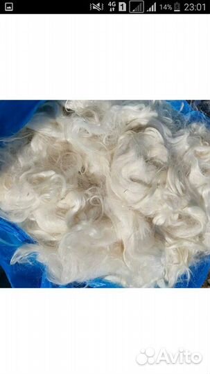 Волгоградский козий пух. Доставка по городу и райо