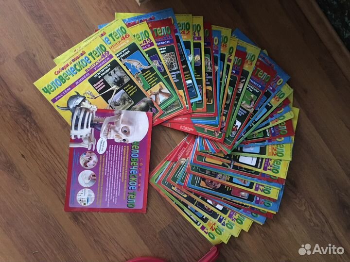 Конструктор скелет человека