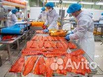 Вахта. Разнорабочий в Орловской области