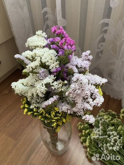Статица сухоцвет