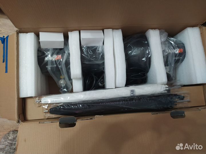 Комплект импульсного света Raylab Axio2 100 ws