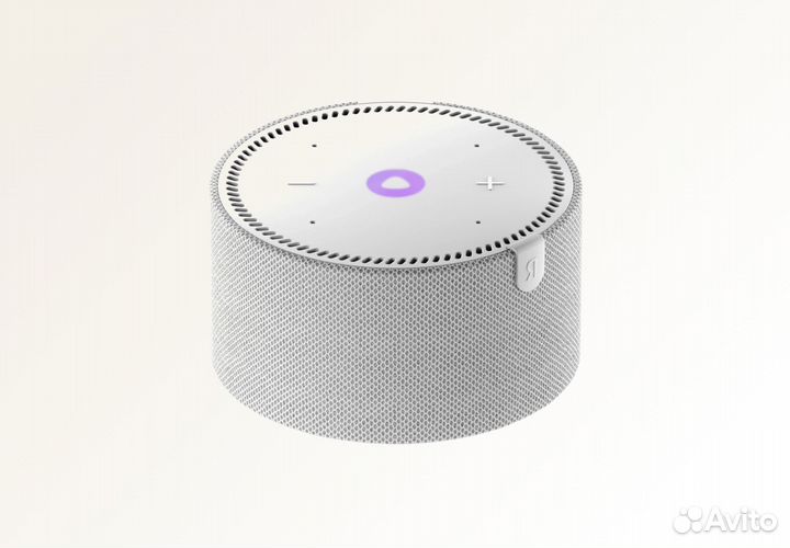 Умная колонка Яндекс.Станция Мини (Серая)