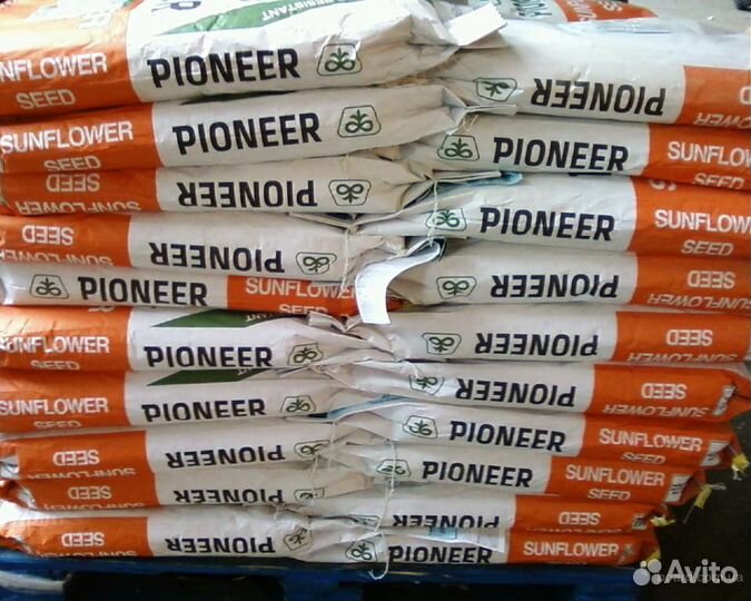 Пионер пр 63ле 10 экспресс гибрид подсолнечника
