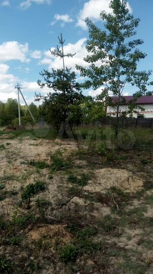 Участок 26 сот. (ИЖС)