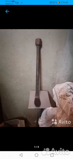 Лапа сапожника