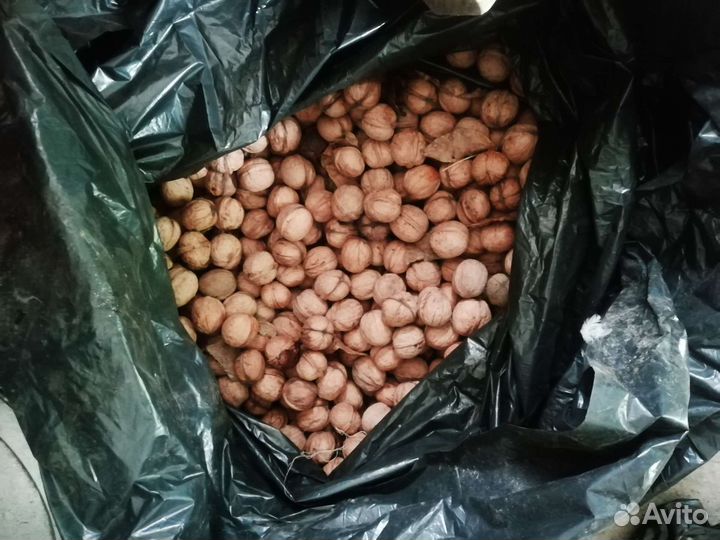 Грецкий орех