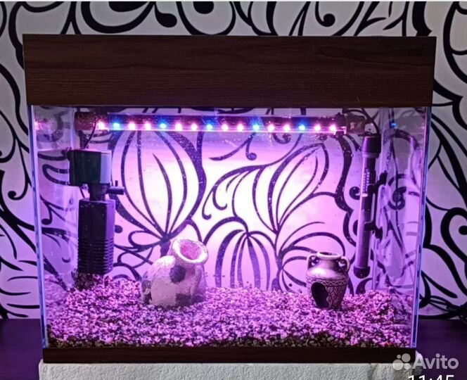 Аквариум