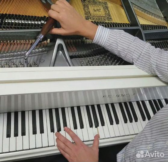 Настройка, ремонт пианино и роялей
