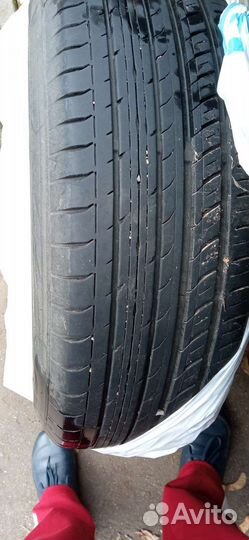 Toyo Proxes C1S 195/65 R15