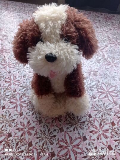 Маленькая собака игрушка, умеет повторять речь