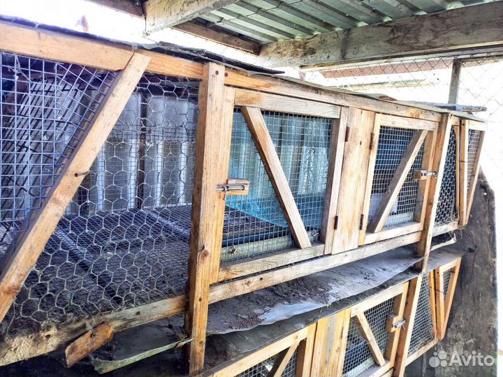 Кроличьи клетки