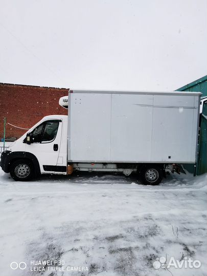 FIAT Ducato рефрижератор, 2014