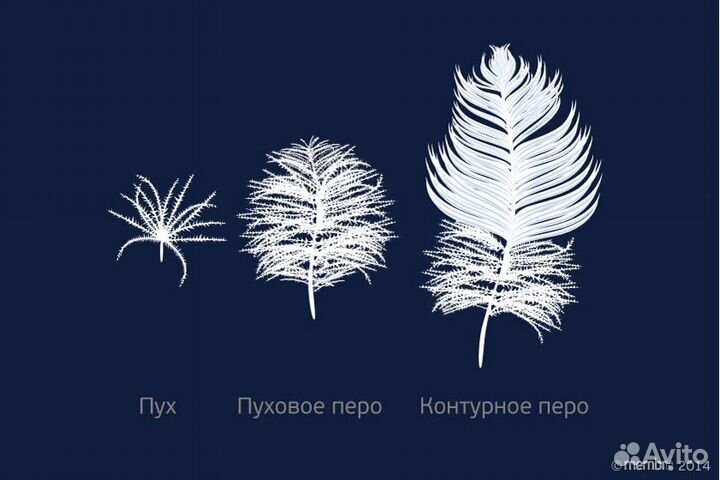 Принимаем старые перины, подушки, свежее перо в лю