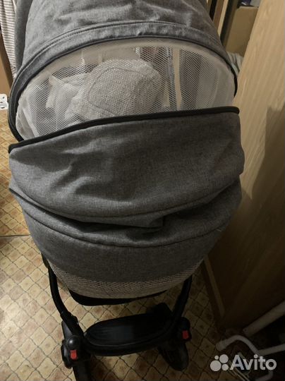 Коляска 2 в 1 adamex