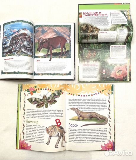 Детские книги энциклопедии животные