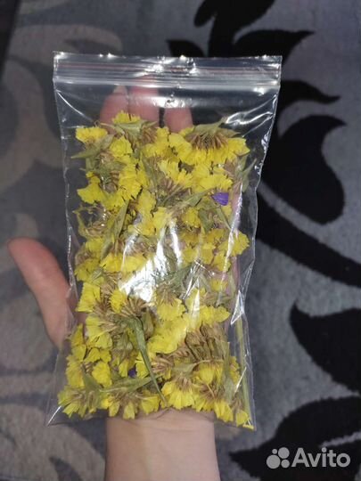 Сухоцветы для творчества Статица