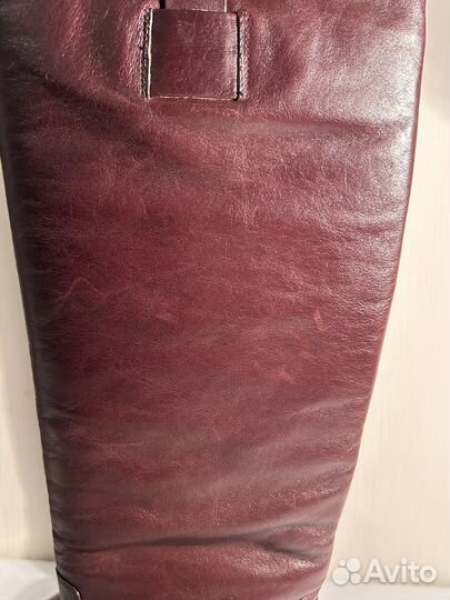 Сапоги женские зимние Ekonika