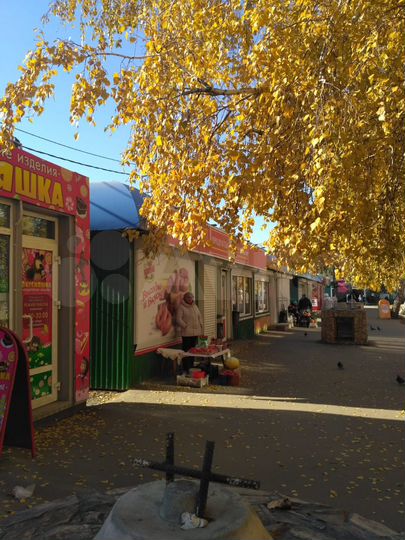 Свободного назначения, 18 м²