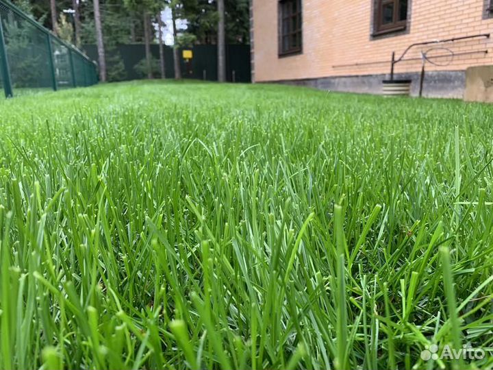 Газон под ключ